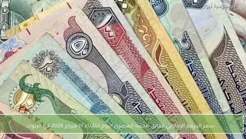 سعر الدرهم الإماراتي مقابل الجنيه المصري اليوم الثلاثاء 17 فبراير 2026 في البنوك