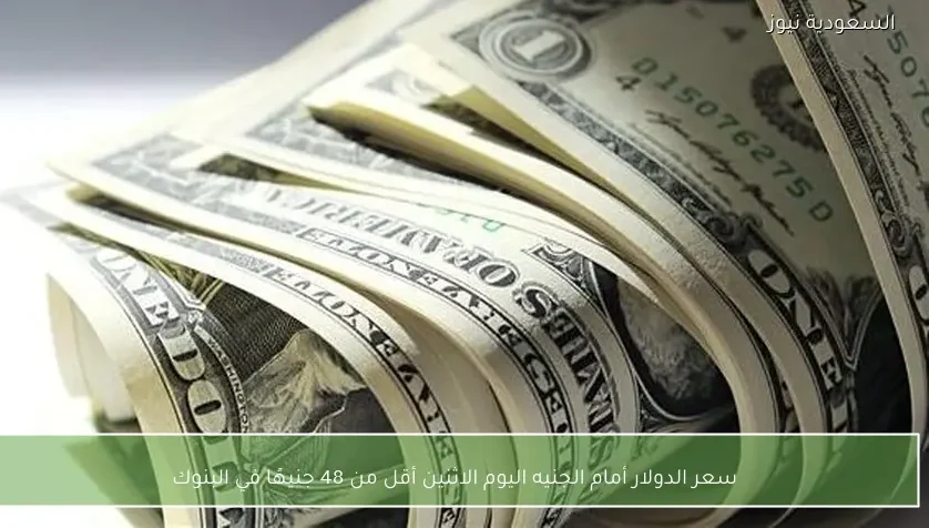 سعر الدولار أمام الجنيه اليوم الاثنين أقل من 48 جنيهًا في البنوك