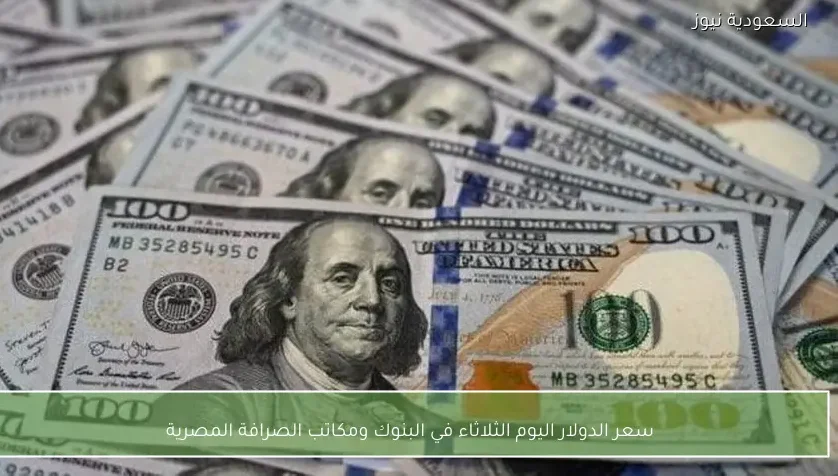 سعر الدولار اليوم الثلاثاء في البنوك ومكاتب الصرافة المصرية