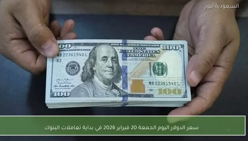 سعر الدولار اليوم الجمعة 20 فبراير 2026 في بداية تعاملات البنوك