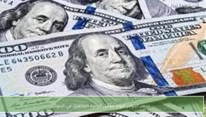 سعر الدولار اليوم مقابل الجنيه المصري في البنوك