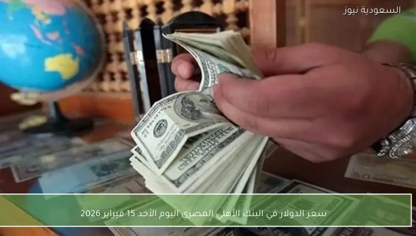 سعر الدولار في البنك الأهلي المصري اليوم الأحد 15 فبراير 2026