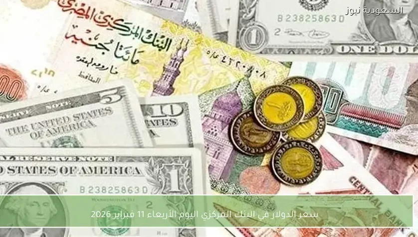 سعر الدولار في البنك المركزي اليوم الأربعاء 11 فبراير 2026