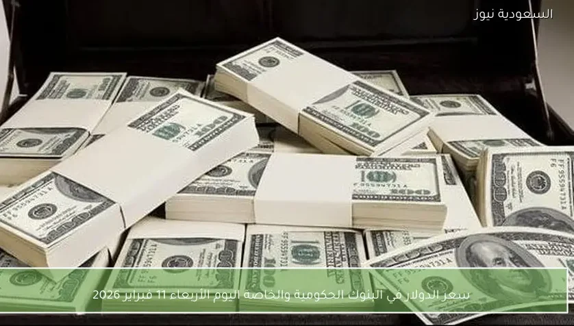 سعر الدولار في البنوك الحكومية والخاصة اليوم الأربعاء 11 فبراير 2026