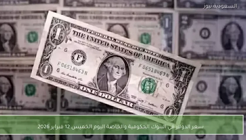 سعر الدولار في البنوك الحكومية والخاصة اليوم الخميس 12 فبراير 2026