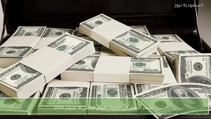سعر الدولار في البنوك اليوم الإثنين 16 فبراير 2026