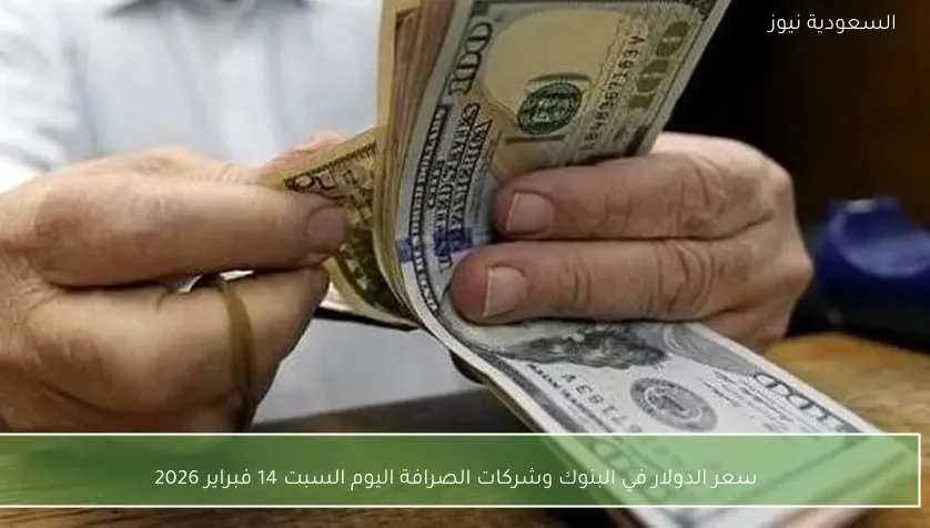 سعر الدولار في البنوك وشركات الصرافة اليوم السبت 14 فبراير 2026