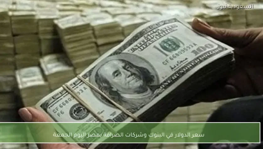 سعر الدولار في البنوك وشركات الصرافة بمصر اليوم الجمعة