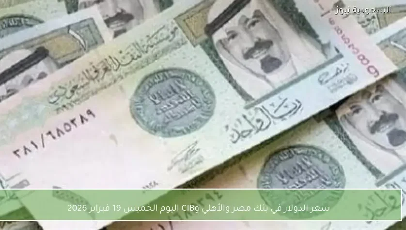 سعر الدولار في بنك مصر والأهلي وCIB اليوم الخميس 19 فبراير 2026