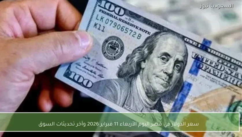 سعر الدولار في مصر اليوم الأربعاء 11 فبراير 2026 وآخر تحديثات السوق