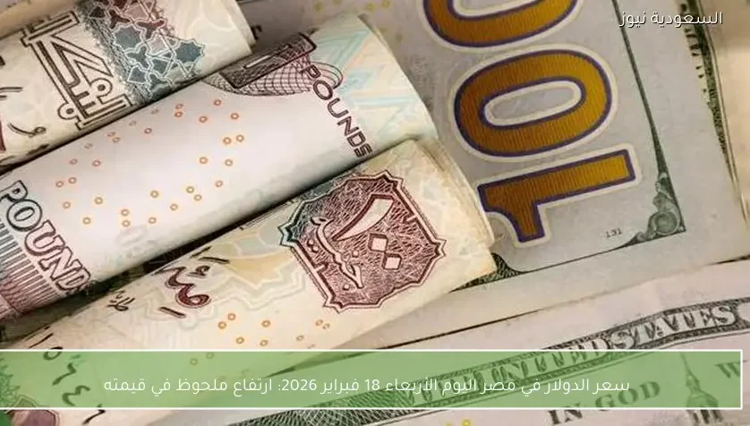 سعر الدولار في مصر اليوم الأربعاء 18 فبراير 2026: ارتفاع ملحوظ في قيمته