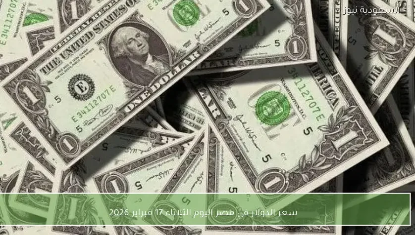 سعر الدولار في مصر اليوم الثلاثاء 17 فبراير 2026