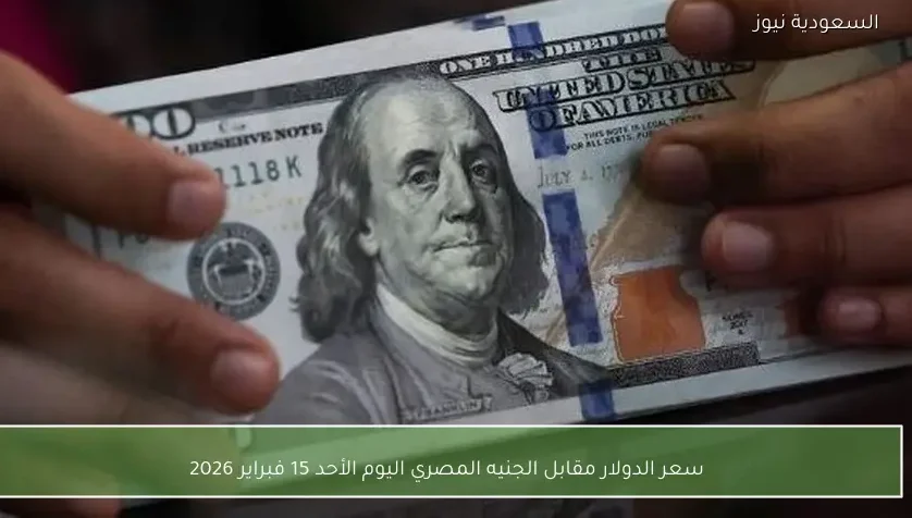 سعر الدولار مقابل الجنيه المصري اليوم الأحد 15 فبراير 2026