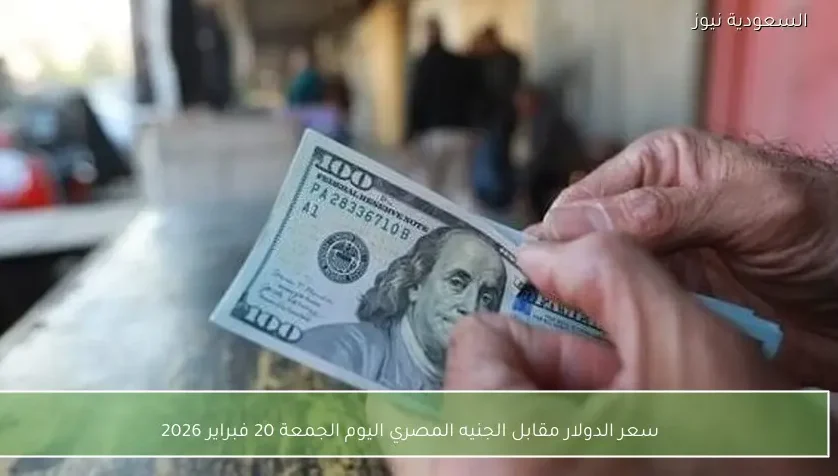 سعر الدولار مقابل الجنيه المصري اليوم الجمعة 20 فبراير 2026