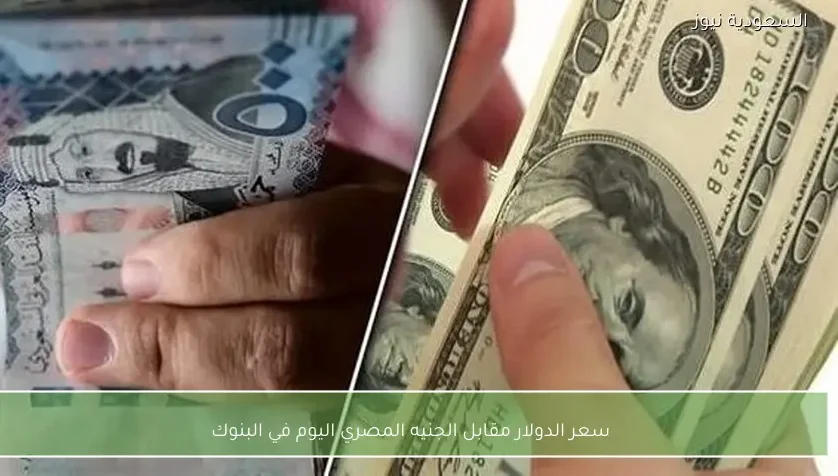 سعر الدولار مقابل الجنيه المصري اليوم في البنوك