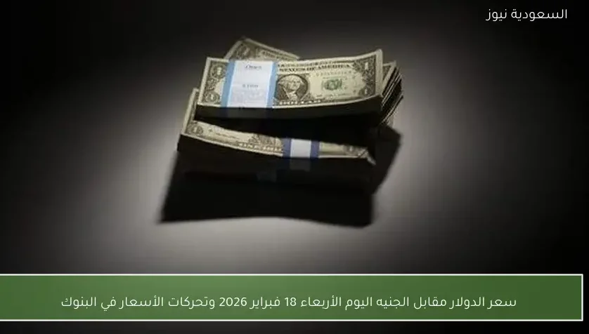 سعر الدولار مقابل الجنيه اليوم الأربعاء 18 فبراير 2026 وتحركات الأسعار في البنوك