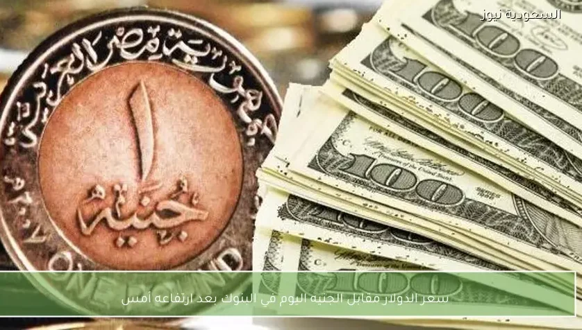 سعر الدولار مقابل الجنيه اليوم في البنوك بعد ارتفاعه أمس