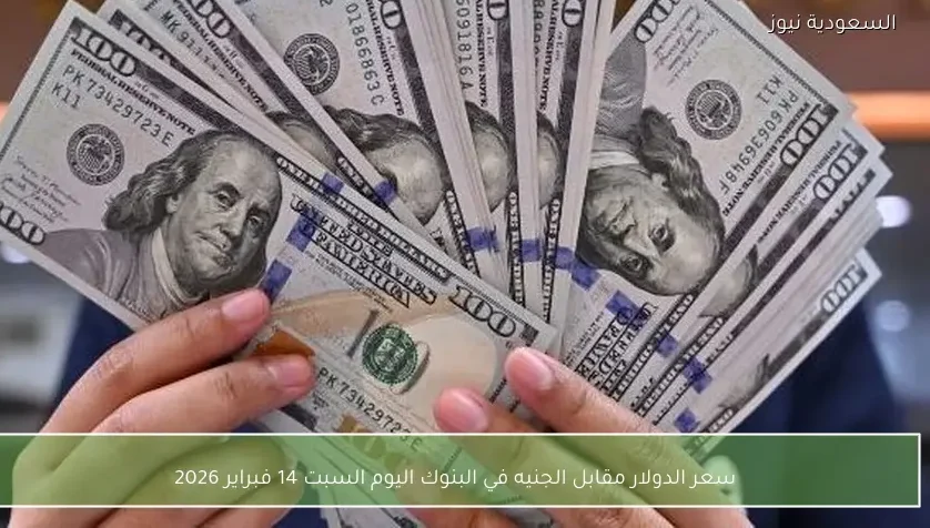 سعر الدولار مقابل الجنيه في البنوك اليوم السبت 14 فبراير 2026