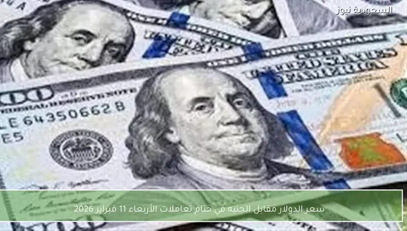 سعر الدولار مقابل الجنيه في ختام تعاملات الأربعاء 11 فبراير 2026