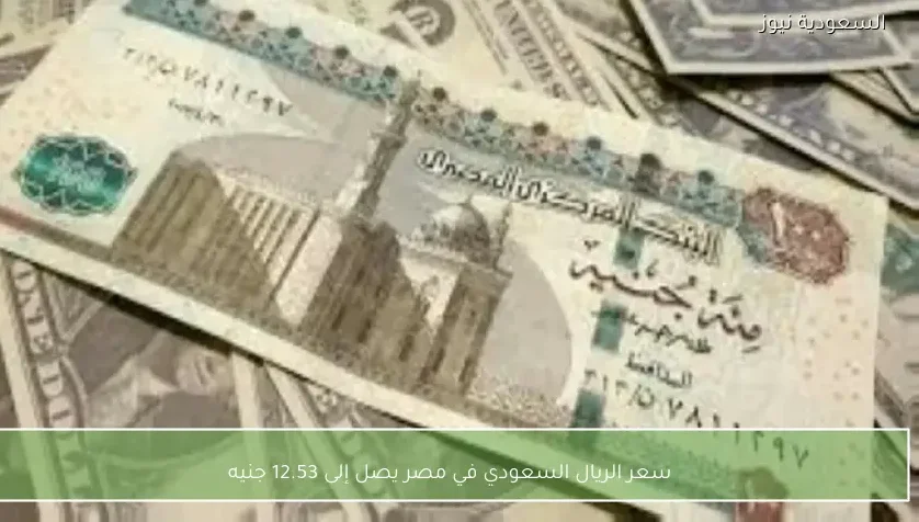سعر الريال السعودي في مصر يصل إلى 12.53 جنيه