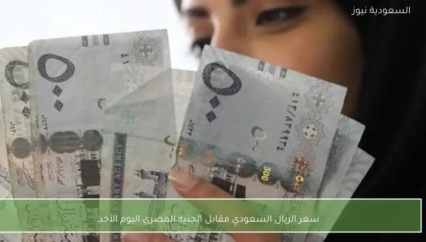 سعر الريال السعودي مقابل الجنيه المصري اليوم الأحد
