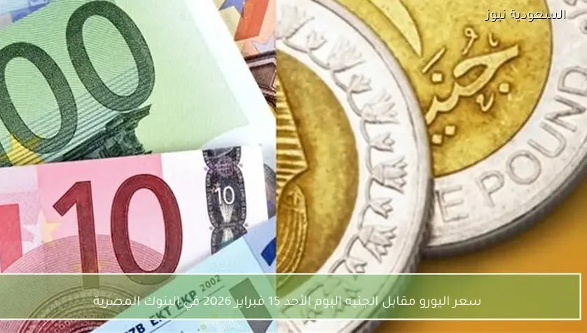 سعر اليورو مقابل الجنيه اليوم الأحد 15 فبراير 2026 في البنوك المصرية
