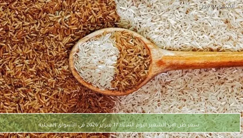 سعر طن الأرز الشعير اليوم الثلاثاء 17 فبراير 2026 في الأسواق المحلية