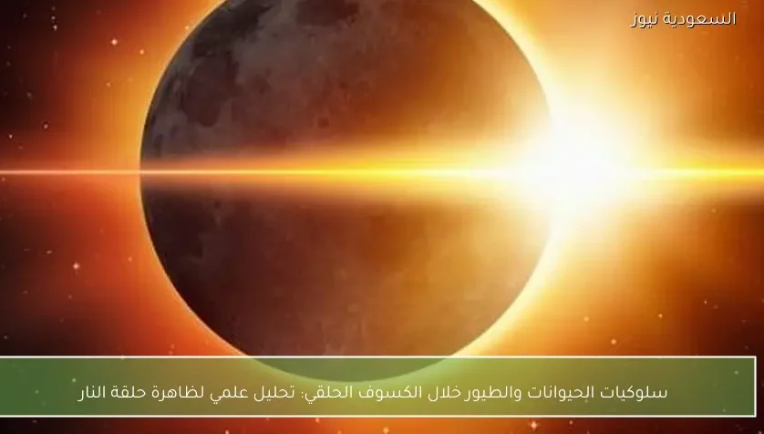 سلوكيات الحيوانات والطيور خلال الكسوف الحلقي: تحليل علمي لظاهرة حلقة النار