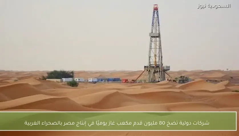 شركات دولية تضخ 80 مليون قدم مكعب غاز يوميًا في إنتاج مصر بالصحراء الغربية