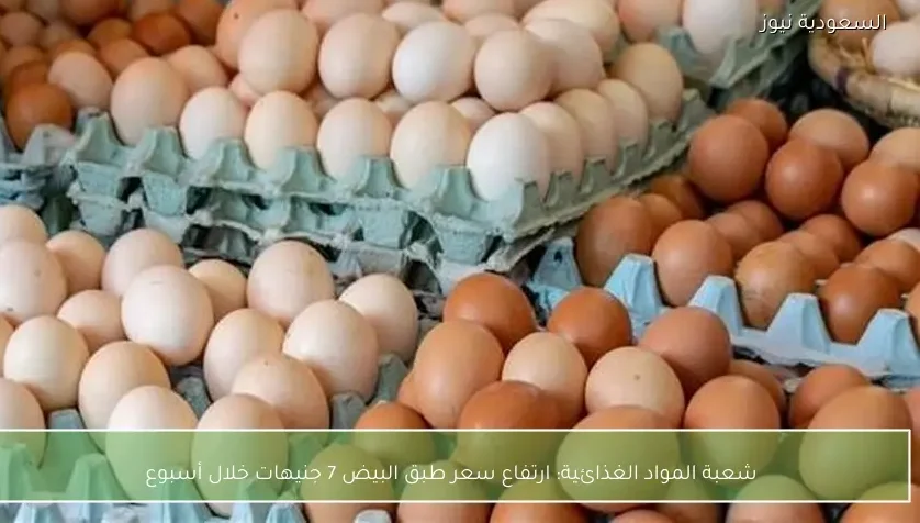 شعبة المواد الغذائية: ارتفاع سعر طبق البيض 7 جنيهات خلال أسبوع