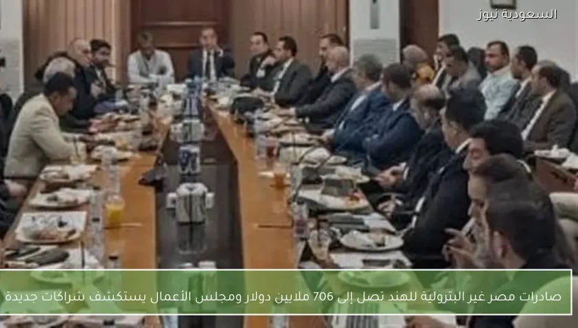 صادرات مصر غير البترولية للهند تصل إلى 706 ملايين دولار ومجلس الأعمال يستكشف شراكات جديدة