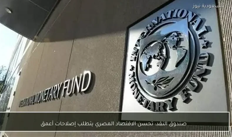 صندوق النقد: تحسن الاقتصاد المصري يتطلب إصلاحات أعمق