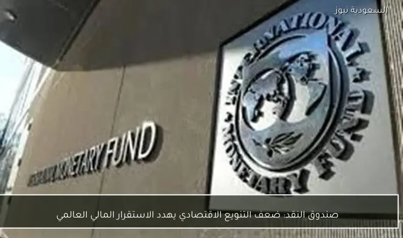 صندوق النقد: ضعف التنويع الاقتصادي يهدد الاستقرار المالي العالمي