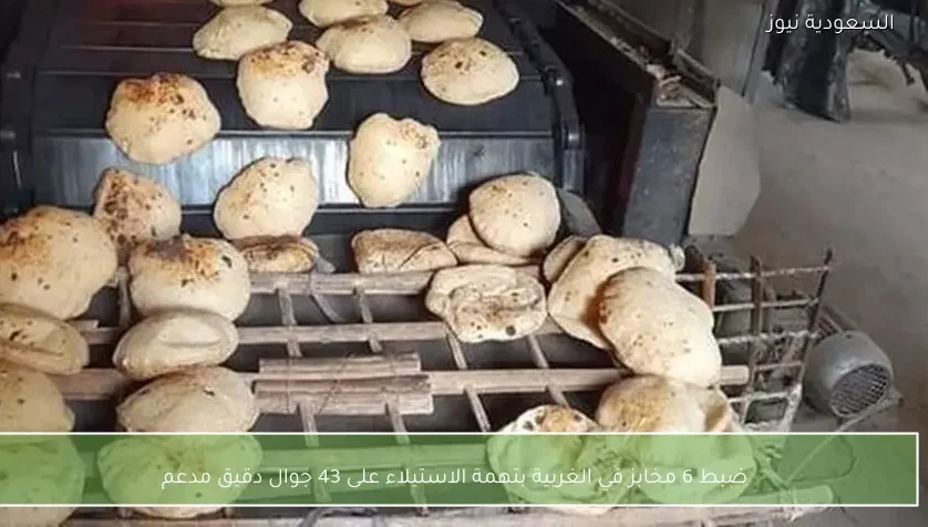 ضبط 6 مخابز في الغربية بتهمة الاستيلاء على 43 جوال دقيق مدعم