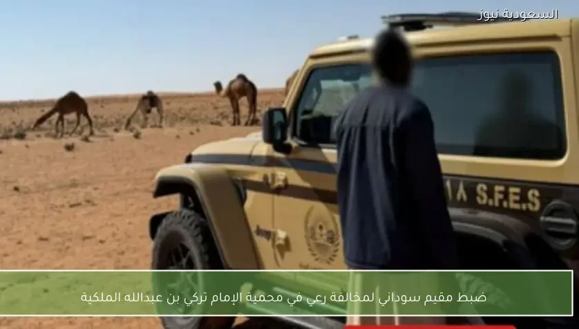 ضبط مقيم سوداني لمخالفة رعي في محمية الإمام تركي بن عبدالله الملكية