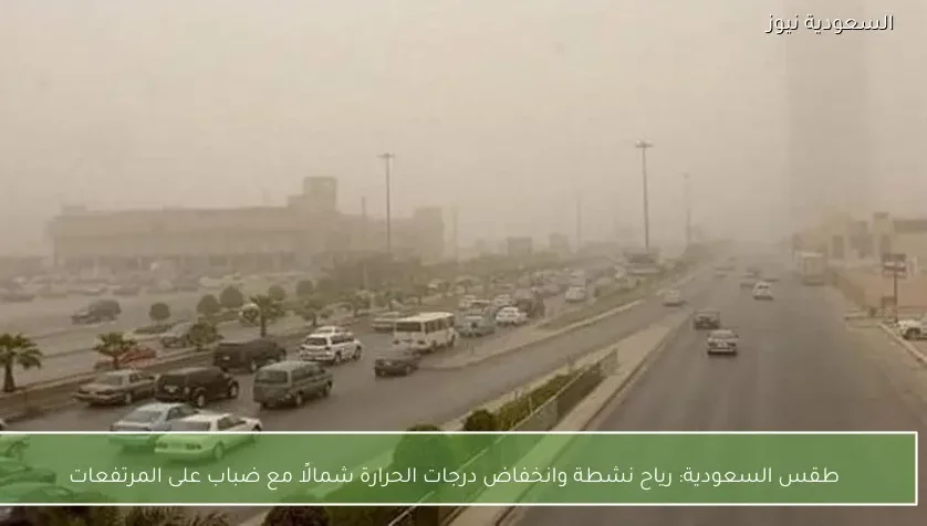 طقس السعودية: رياح نشطة وانخفاض درجات الحرارة شمالًا مع ضباب على المرتفعات