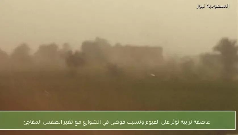 عاصفة ترابية تؤثر على الفيوم وتسبب فوضى في الشوارع مع تغير الطقس المفاجئ