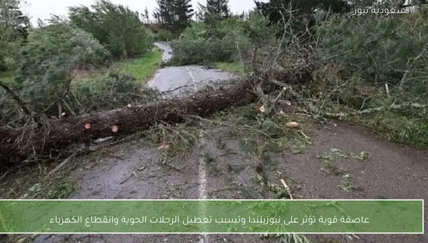 عاصفة قوية تؤثر على نيوزيلندا وتسبب تعطيل الرحلات الجوية وانقطاع الكهرباء