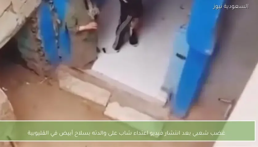 غضب شعبي بعد انتشار فيديو اعتداء شاب على والدته بسلاح أبيض في القليوبية