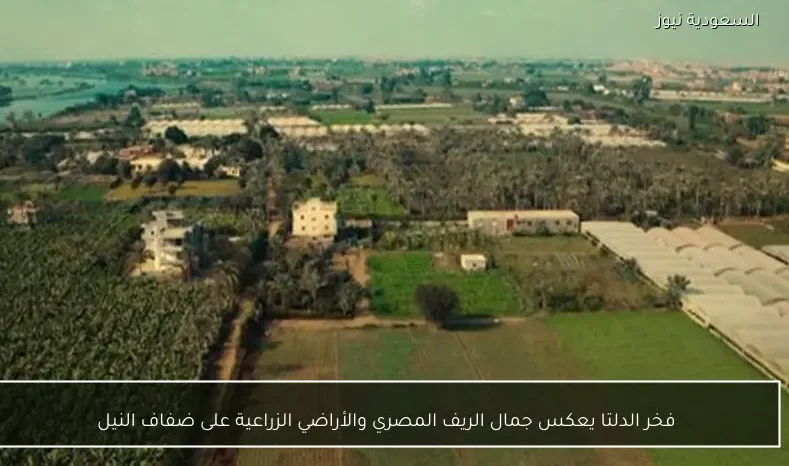 فخر الدلتا يعكس جمال الريف المصري والأراضي الزراعية على ضفاف النيل