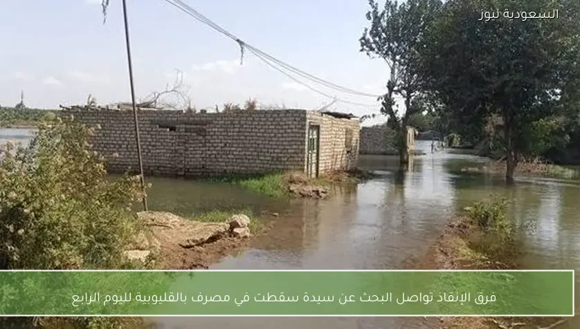 فرق الإنقاذ تواصل البحث عن سيدة سقطت في مصرف بالقليوبية لليوم الرابع