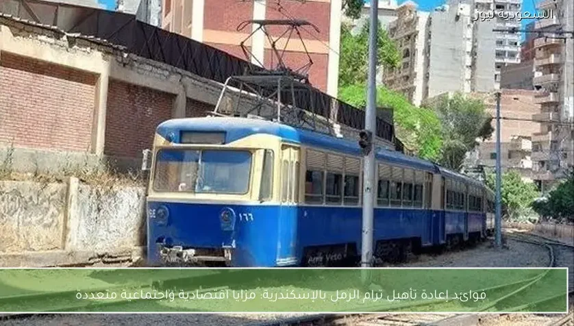 فوائد إعادة تأهيل ترام الرمل بالإسكندرية: مزايا اقتصادية واجتماعية متعددة
