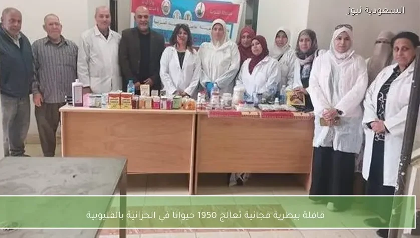 قافلة بيطرية مجانية تعالج 1950 حيوانا في الحزانية بالقليوبية