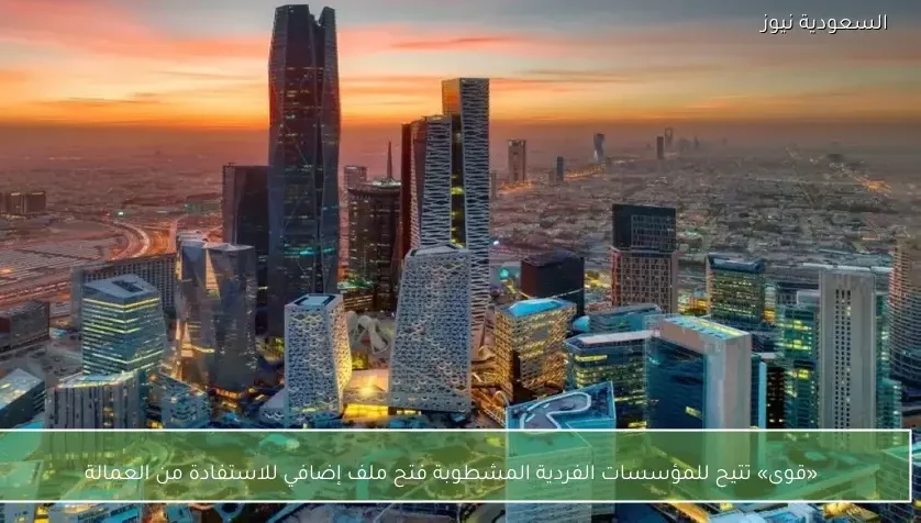 «قوى» تتيح للمؤسسات الفردية المشطوبة فتح ملف إضافي للاستفادة من العمالة