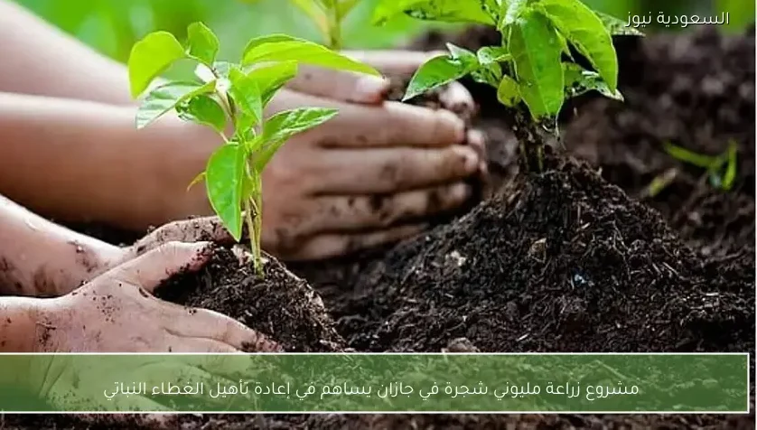 مشروع زراعة مليوني شجرة في جازان يساهم في إعادة تأهيل الغطاء النباتي