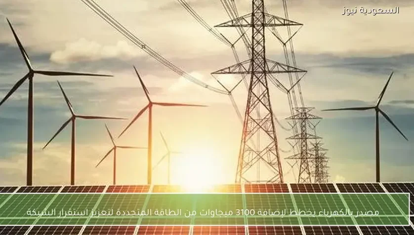 مصدر بالكهرباء يخطط لإضافة 3100 ميجاوات من الطاقة المتجددة لتعزيز استقرار الشبكة