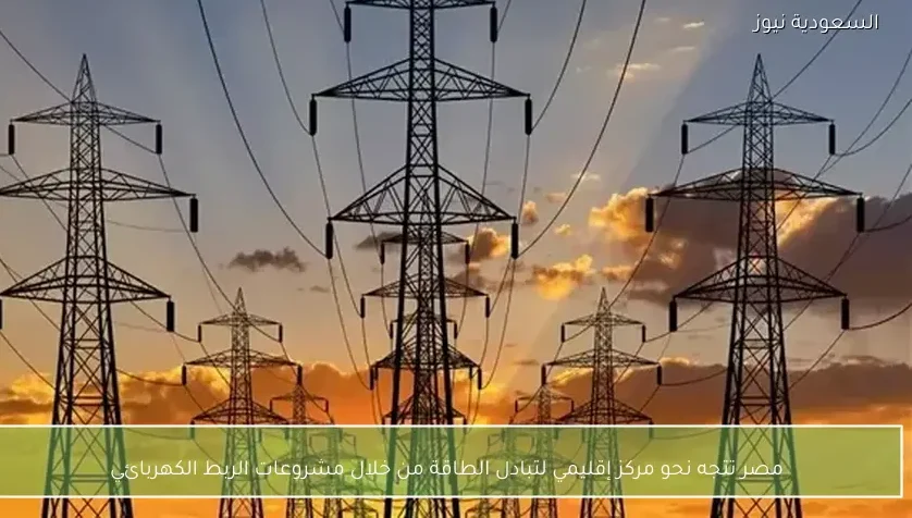 مصر تتجه نحو مركز إقليمي لتبادل الطاقة من خلال مشروعات الربط الكهربائي