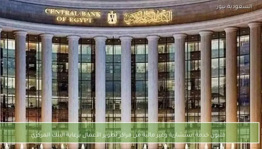 مليون خدمة استشارية وغير مالية من مراكز تطوير الأعمال برعاية البنك المركزي