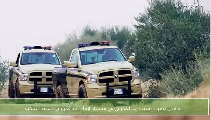 مواطن يُضبط بسبب مخالفة رعي في محمية الإمام عبدالعزيز بن محمد الملكية