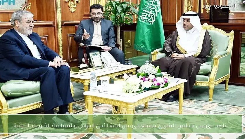 نائب رئيس مجلس الشورى يجتمع برئيس لجنة الأمن القومي والسياسة الخارجية الإيرانية